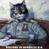 deweycatproductions logo